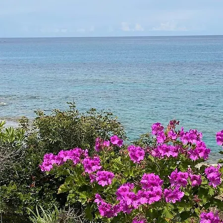 Casa Vista Bella - Maison En Corse Avec Grande Terrasse Et Acces Direct A La Mer, Marine De Sant'ambroggio Entre Calvi Et L'ile Rousse 펜션