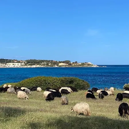 Casa Vista Bella - Maison En Corse Avec Grande Terrasse Et Acces Direct A La Mer, Marine De Sant'ambroggio Entre Calvi Et L'ile Rousse 펜션