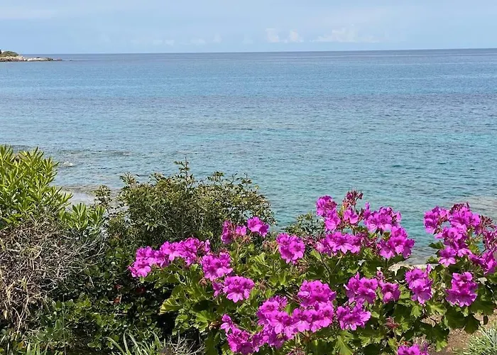 Casa Vista Bella - Maison En Corse Avec Grande Terrasse Et Acces Direct A La Mer, Marine De Sant'ambroggio Entre Calvi Et L'ile Rousse 펜션