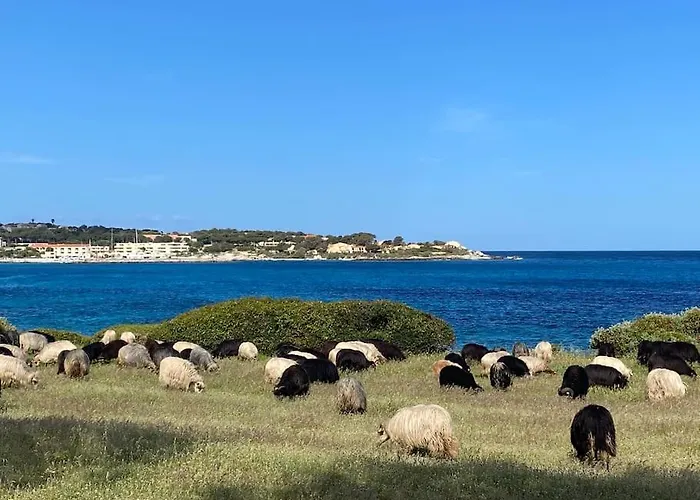 Casa Vista Bella - Maison En Corse Avec Grande Terrasse Et Acces Direct A La Mer, Marine De Sant'ambroggio Entre Calvi Et L'ile Rousse 펜션
